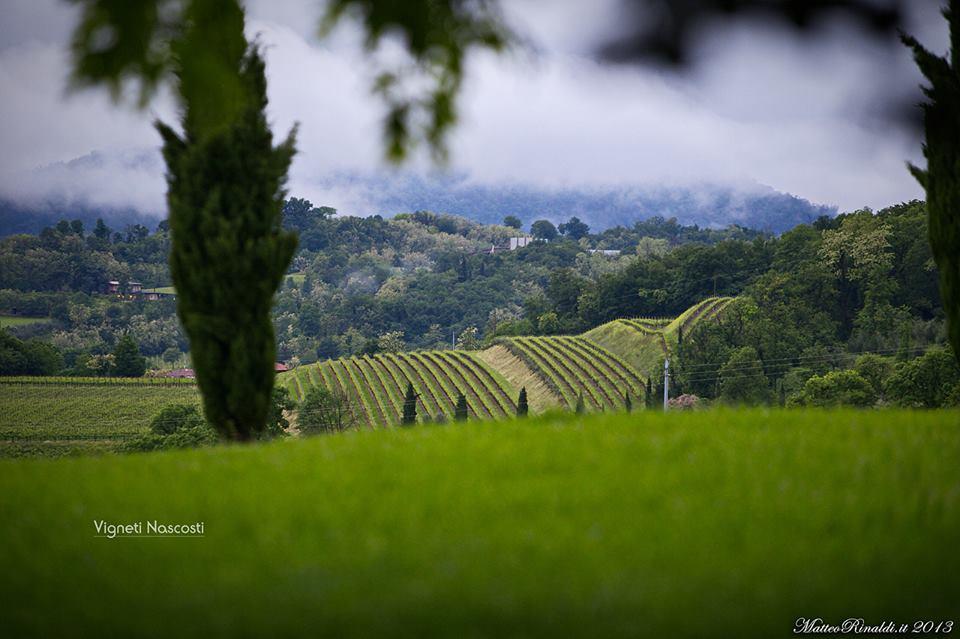 Wine & Lake In Franciacorta Passirano Zewnętrze zdjęcie