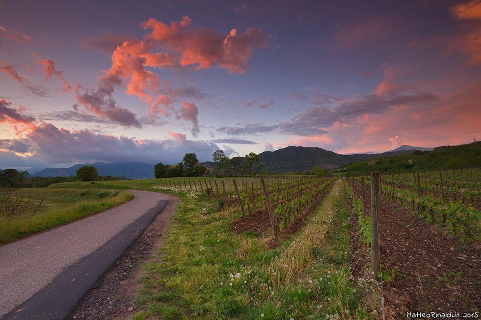 Wine & Lake In Franciacorta Passirano Zewnętrze zdjęcie