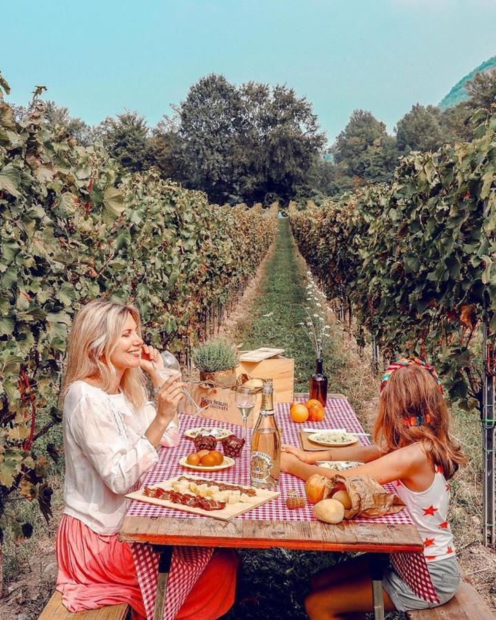 Wine & Lake In Franciacorta Passirano Zewnętrze zdjęcie
